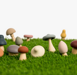 Wood + Silicone Mushroom Sorting Set