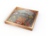 Colors we sea story box