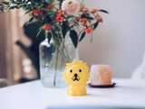 Lion Bundle of light