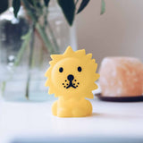 Lion Bundle of light