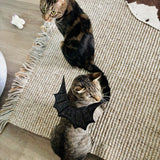 Glitter Wings Halloween Cat Costume Black