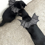 Glitter Wings Halloween Cat Costume Black