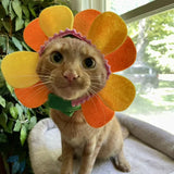 Flower Cat Headpiece Costume - One Size Fits Most