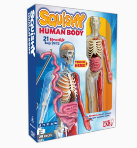 Squish Human body