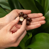 Tru Fru Freeze Dried Bananas in Dark Chocolate - 3.4 oz