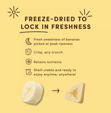 Tru Fru Freeze Dried Bananas in Dark Chocolate - 3.4 oz