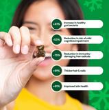 Gruns Adult Superfoods Greens Gummies Holiday 3 Pack - 24ct