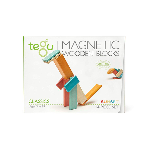 Magnetic Wooden block (14 pieces set) -Tegu