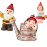 Gnome Family Toob